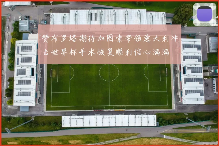 赞布罗塔期待加图索带领意大利冲击世界杯手术恢复顺利信心满满