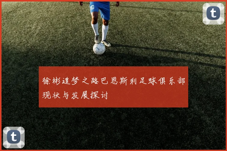 徐彬追梦之路巴恩斯利足球俱乐部现状与发展探讨